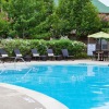 a pool with lounge chairs and umbrellas