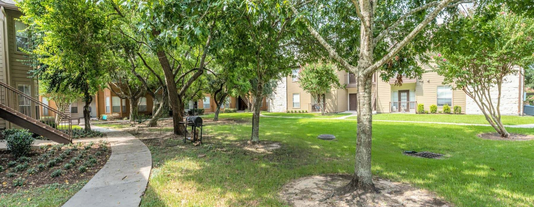 a path with grass and trees