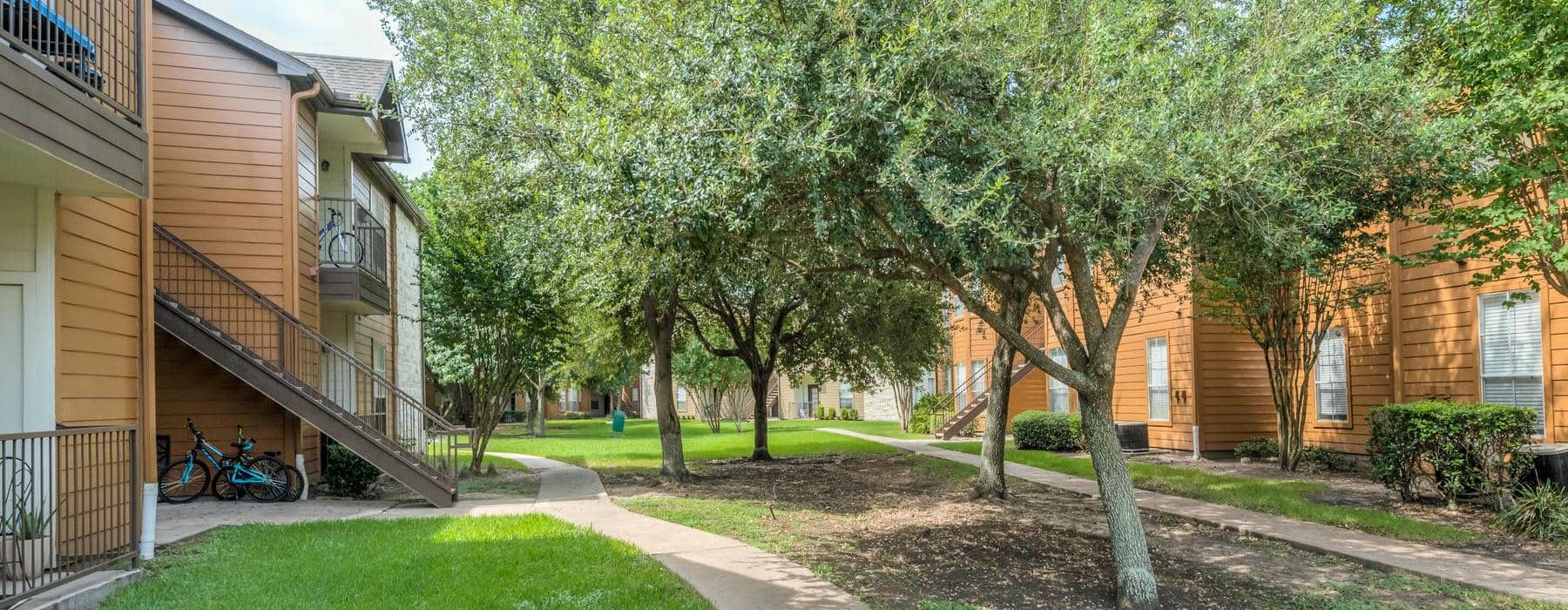a path in a courtyard between buildings