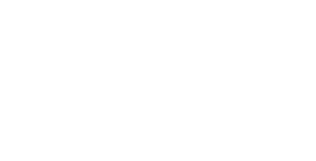 Stone Brook Logo
